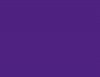 119 Purple
