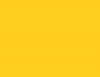 204 Gold