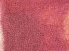 402 Morganite