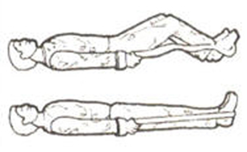 Auto Traction Strap
